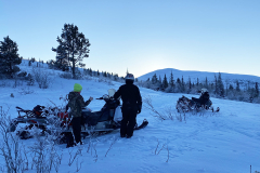 Moose viewing on the Klondike Snowmobile Association's 2025 annual Take A Friend Snowmobiling Ride - February 2025