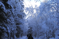 K.S.A. Volunteers grooming the trails - January 2006