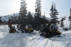 Snack time Near Tally Ho mountain - April 2020