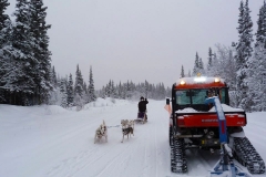 Power yields for paws! - February 2020