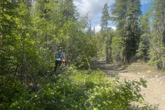 Klondike Snowmobile Association volunteers cleaning up the trails - June 2023
